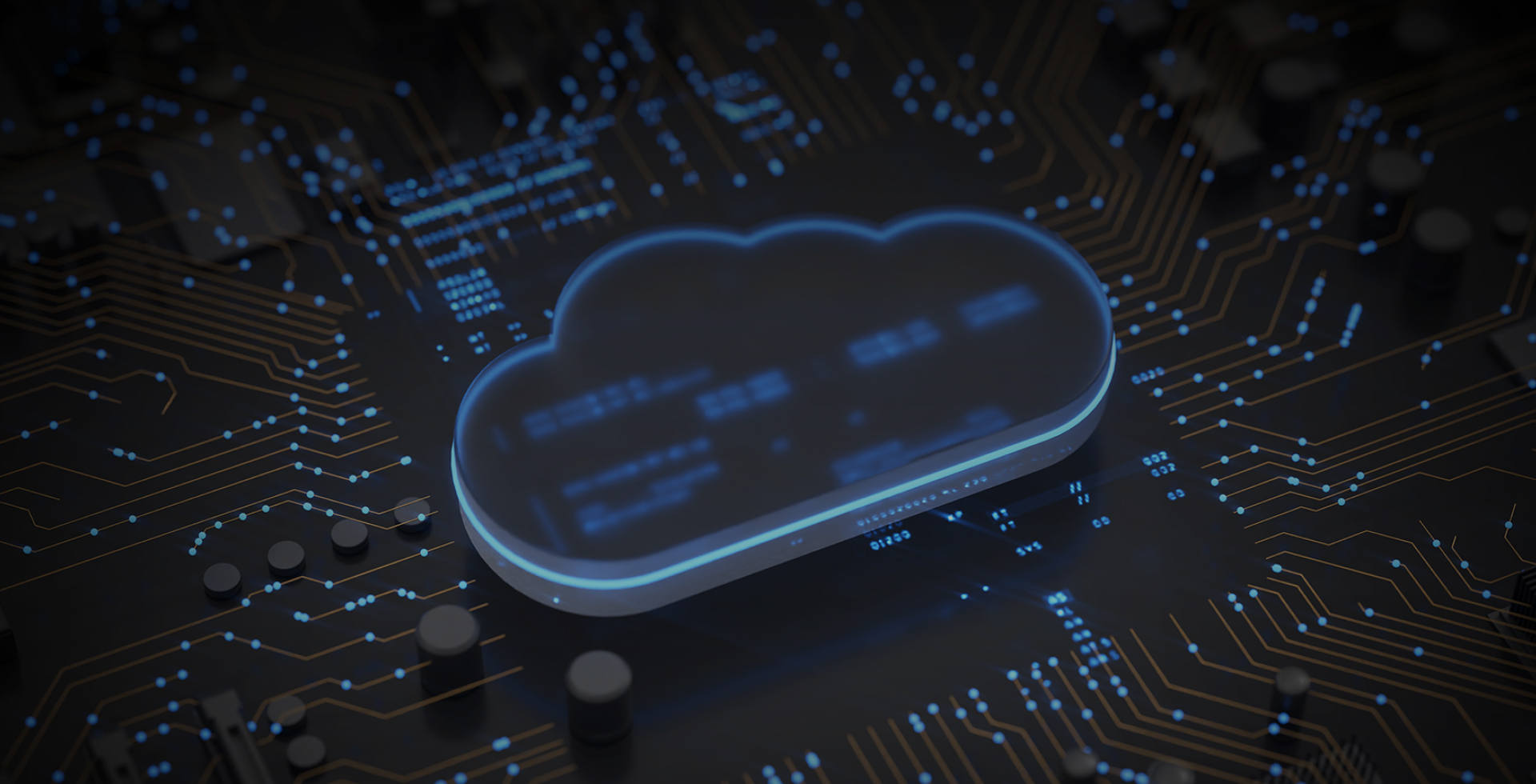 베이직인터내셔널 팀이 밝은 사무실에서 협업하는 모습